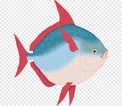 It is also called walleye pollock and is widely distributed in the. Ocean Sunfish Png Images Pngwing