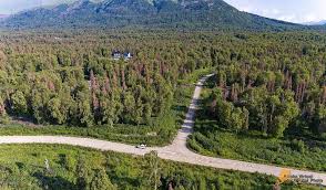 Located near the mouth of the matanuska river, it lies 42 miles (68 km) northeast of anchorage. B2 L11 No Road Name Cor Palmer Ak 99645 Mls 20 13348 Zillow