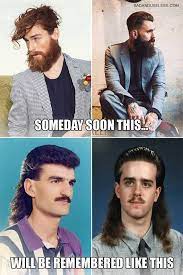 Hipster Beard The 21st Century Mullet Badchoicesgoodstories