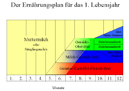 Nun hab ich seit einigen tagen das gefühl, dass er mit der milch nicht mehr zufrieden ist. Beikost Die Gesunde Ernahrung Im Ersten Lebensjahr