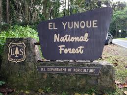 Relive the history of old san juan with a guided walking tour. 10 Things To Know Before Visiting El Yunque Rainforest