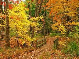 Pin On Autumn Colors