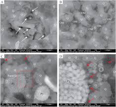 Mature wife, shower masturbation, bbw masturbating, bathing, matured, bath masturbation. Silica Diagenesis In The Lower Paleozoic Wufeng And Longmaxi Formations In The Sichuan Basin South China Implications For Reservoir Properties And Paleoproductivity Sciencedirect