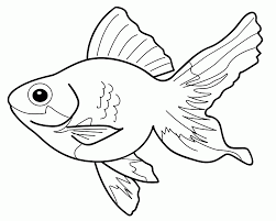 We did not find results for: Gambar Ikan Kartun Picture Idokeren