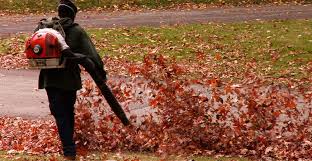 The lower leaf surface is smooth or with inconspicuous fine hairs. The 5 Easiest Ways To Remove Fall Leaves Life S Dirty Clean Easy