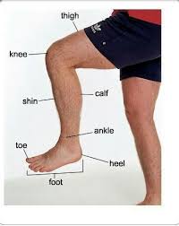 Review body parts and numbers. Body Parts In Tamil Meaning à®†à®™ à®• à®²à®® Learn English Grammar Through Tamil à®®à®© à®¤ à®‰à®Ÿà®² Find The Human Body Parts External Organs Names In The Tamil Language Sadey Grey