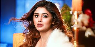 Here is a sneak peek of the Ritabhari ...