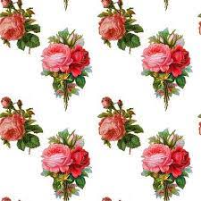 Floral tileable seamless photoshop patterns, converted from asadal free vector patterns. Patterns For Photoshop Vintage Roses On A Transparent Background Free Patterns Pat Free Download