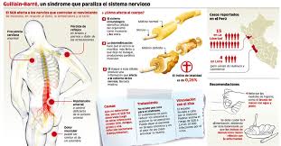 Yuki n., kokubun n., kuwabara s. Guillain Barre Sindrome Fases Y Tratamiento