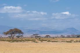 Maybe you would like to learn more about one of these? 151 375 African Landscape Photos Free Royalty Free Stock Photos From Dreamstime