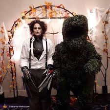 This costume includes a black wig and black shirt with leather straps so you can completely transform into the uncommonly gentleman you know and love. Edward Scissorhands And T Rex Shrub Costume Diy Costumes Under 35