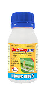 Gold Wing 24SC