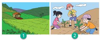 Buat mendapatkan info terbaru, kalian bisa baca gambar kartun ibu sedang masak. Warga Waborobo Rela Berjalan Sejauh 15 Kilometer Demi Air Bersih Mikirbae Com