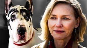 The Friend Movie Ending Explained And Recap: Is Apollo Dead?