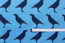 八哥 中世紀藍色 animals bird rooster