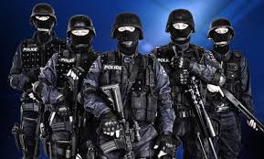 Image result for swat