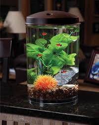 3 Gallon Aquarium Kit Fish Water Tank Bowl 360 View Multi Color Led Light Filter Kollercraft Betta Fish Tank Diy Fish Tank Aquarium Design