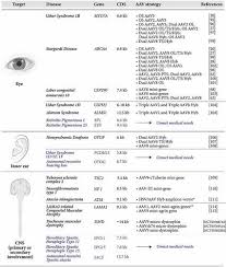 Image result for White 1995 AAV