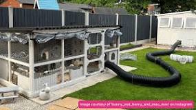 Creating the ideal home for your rabbits - PDSA