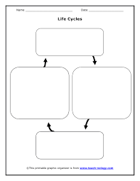 copy of lifecycles lessons tes teach