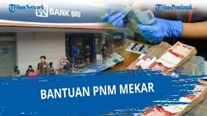 • sila guna template borang lampiran 1 & 2 • laporan akhir : Link Bantuan Pnm Mekaar Bni Klik Banpresbpum Id Dan Eform Bri Co Id Bpum Blt Umkm 1 2 Jt Daftar 2021 Tribun Pontianak