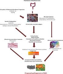 We recommend setting ranges, eg. Pathogenesis Of Nec Impact Of An Altered Intestinal Microbiome Sciencedirect