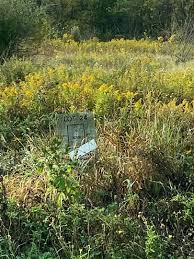 We did not find results for: 15301 Rose Ln Woodstock Il 60098 Mls 10879558 Redfin