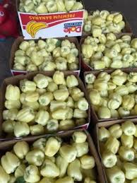 Bursa de legume platforma online dedicată producătorilor de legume comercianților și retailerilor. Legume Fructe Matca