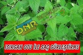 Kisa Surede Sac Gurlestirme Dogal Yontemler Saglik Makaleleri Herbs