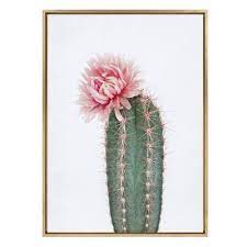 28 X 38 Sylvie Pink Cactus Flower Framed Canvas By Amy Peterson Gold Kate And Laurel Flower Frame Cactus Wall Art Framed Canvas Wall Art