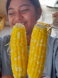 Houeiki moe kainga fie kai sweetcorn 🌽 🌽, koeni kuo mau maau atu I Fanga  he feituu mana aipe he vee Pausa Konifelenisi...Mou mea mai toli mo fili he  fuu saute ta