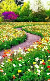 Me Lapislazuli Beautiful Nature Picture By Patco4444 On Flickr Beautiful Nature Pictures Beautiful Flowers Garden Beautiful Gardens