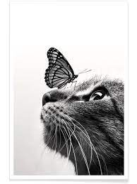 We did not find results for: Juniqe Poster Butterfly Kiss In Grau Gunstig Kaufen Limango