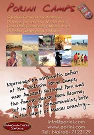 Image result for Stylochaeton borumensis