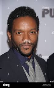 Luke forbes hi-res stock photography and images