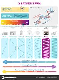 Electromagnetic Waves X Ray Wave Spectrum Vector