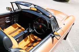 Image result for Bronze 1982 Renault