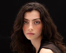 Establish a Strong First Impression. ✨ Professional headshots at an  affordable price. Limited time offer! 📸 Book Today: Text “HEADSHOTS” to  864-484-5058 or Online at www.pyramidgvl.com