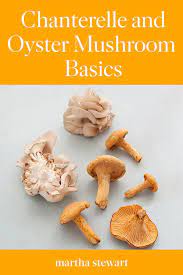 The Magic Of Mushrooms Stuffed Mushrooms Yellow Oyster Mushroom Recipe Oyster Mushroom Recipe