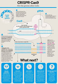 Pin On Genomics