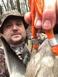 Double banded mallard shot in Arkansas last weekend