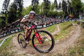 The Winningest World Cup Xc Mountain Bikes Over The Past 3 Seasons Singletracks Mountain Bike News Xc Mountain Bike Mountain Biking Mountain Bike Races