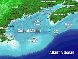 The Gulf Of Maine Gulf Of Maine Council On The Marine