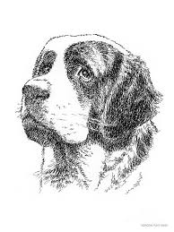 Black And White St Bernard Clipart Saint Bernard Drawing By Gordon Punt Drawings Animal Drawings Dog Tattoos