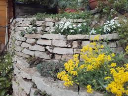Natursteimauer Mit Groben Stein Japanse Tuin Tuin Japan