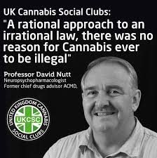 Prof David Nutt to lead medical cannabis trial involving 20,000 UK patients 