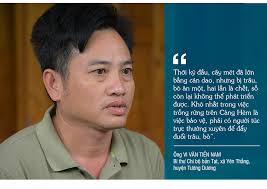 Trồng rừng thay thế