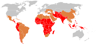 Left untreated, mortality rates can reach 20%. Epidemiology Of Typhoid Fever Wikipedia