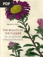 Image result for Helichrysum whyteanum