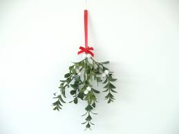 mistletoe felt christmas decoration 室内装飾